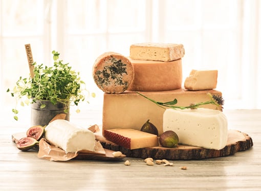 Selection of cheeses, fresh herbs in pot, and slices on wooden board