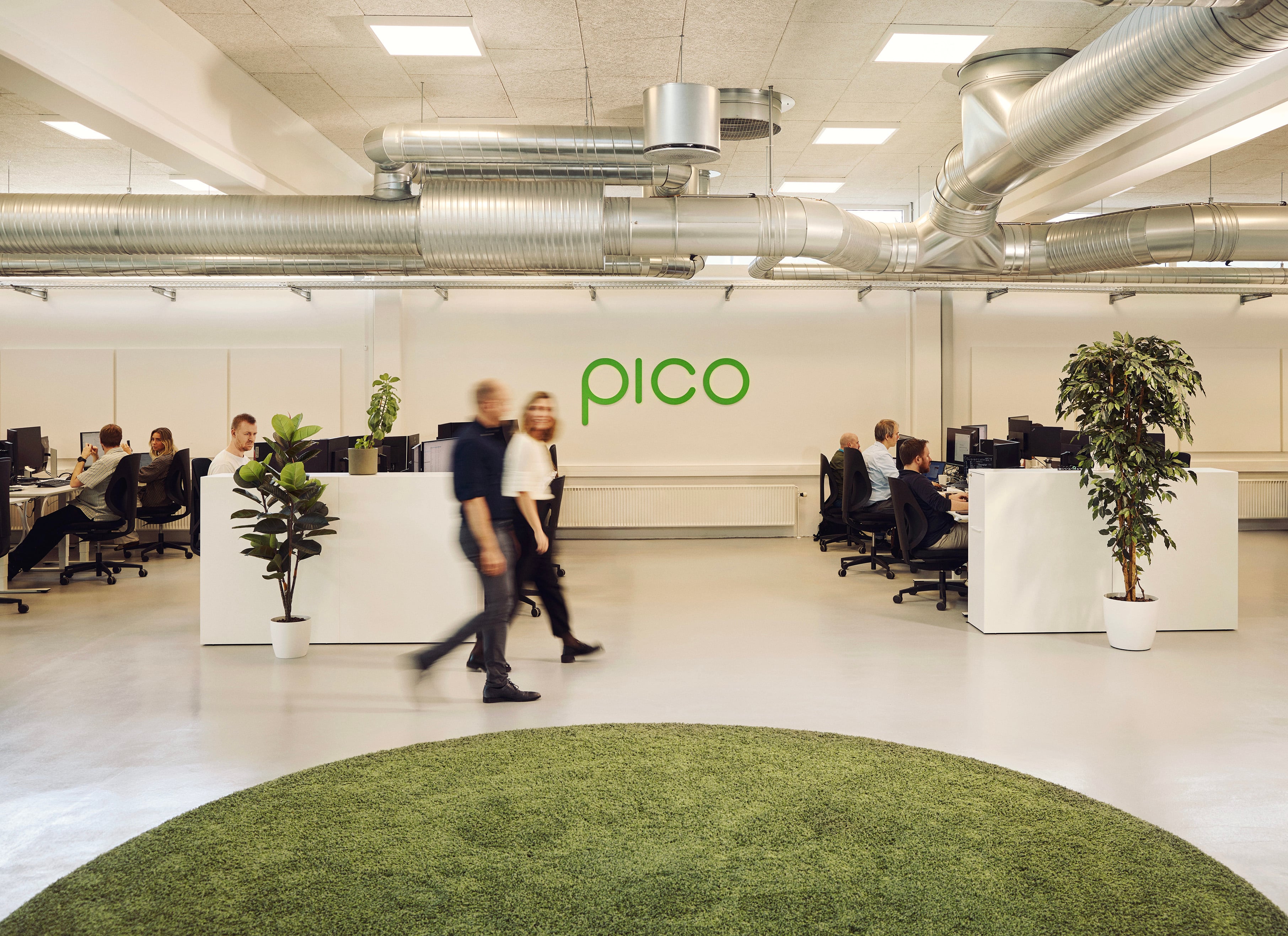 Pico office space with employees at workstations, green plants, and green floor carpet